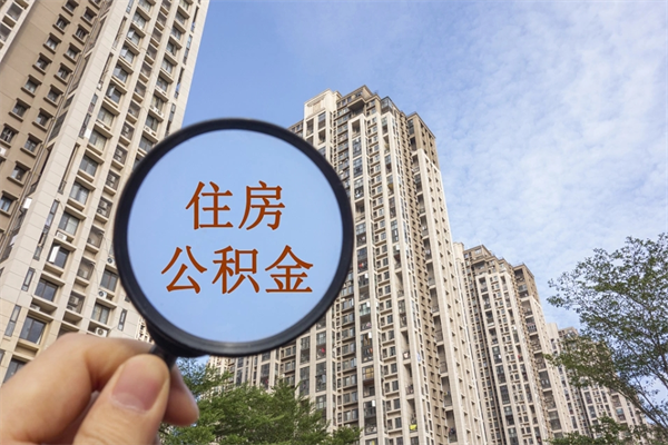 公积金怎么一次性全部提取-东台公积金代办平台